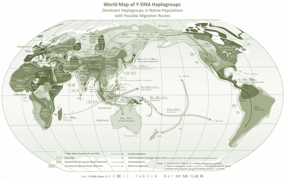 flora-plantenmigratie-world-map